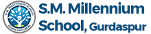 S.M. Millennium School